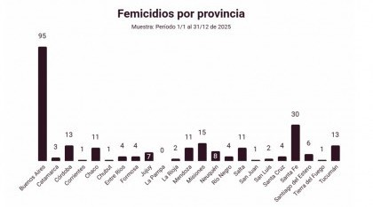 La Defensoría del Pueblo de la Nación registró 247 femicidios en 2025