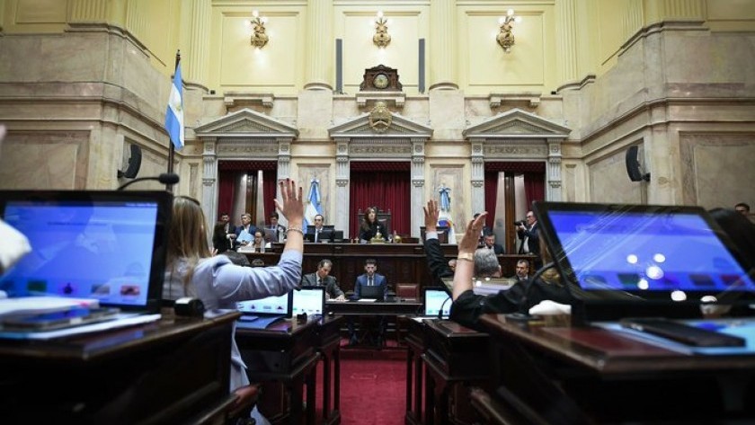 El Senado aprobó en general la reforma de la Ley de Salud Mental